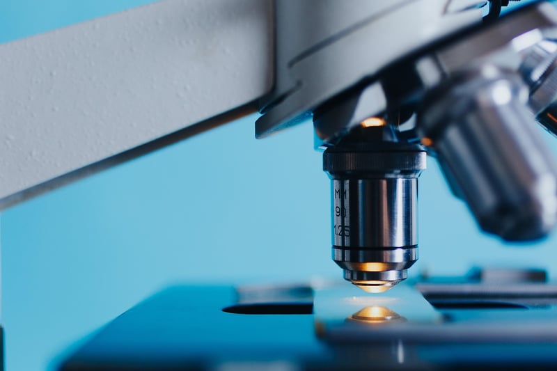 Microscopic view of microbial life