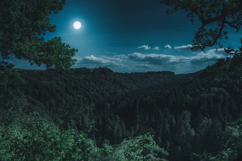 Lunar Landscape